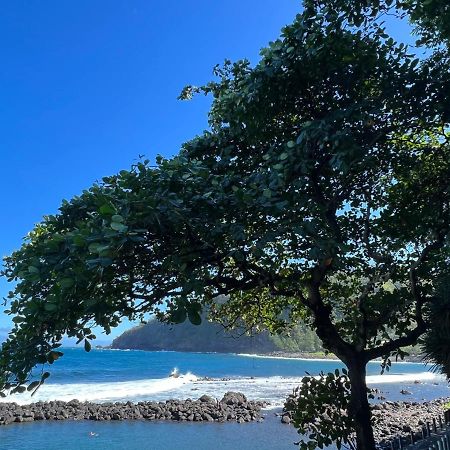 Le Liseron Creole - Entre Terre, Mer Et Riviere - Proche Toutes Commodites Сен-Жозеф Екстериор снимка